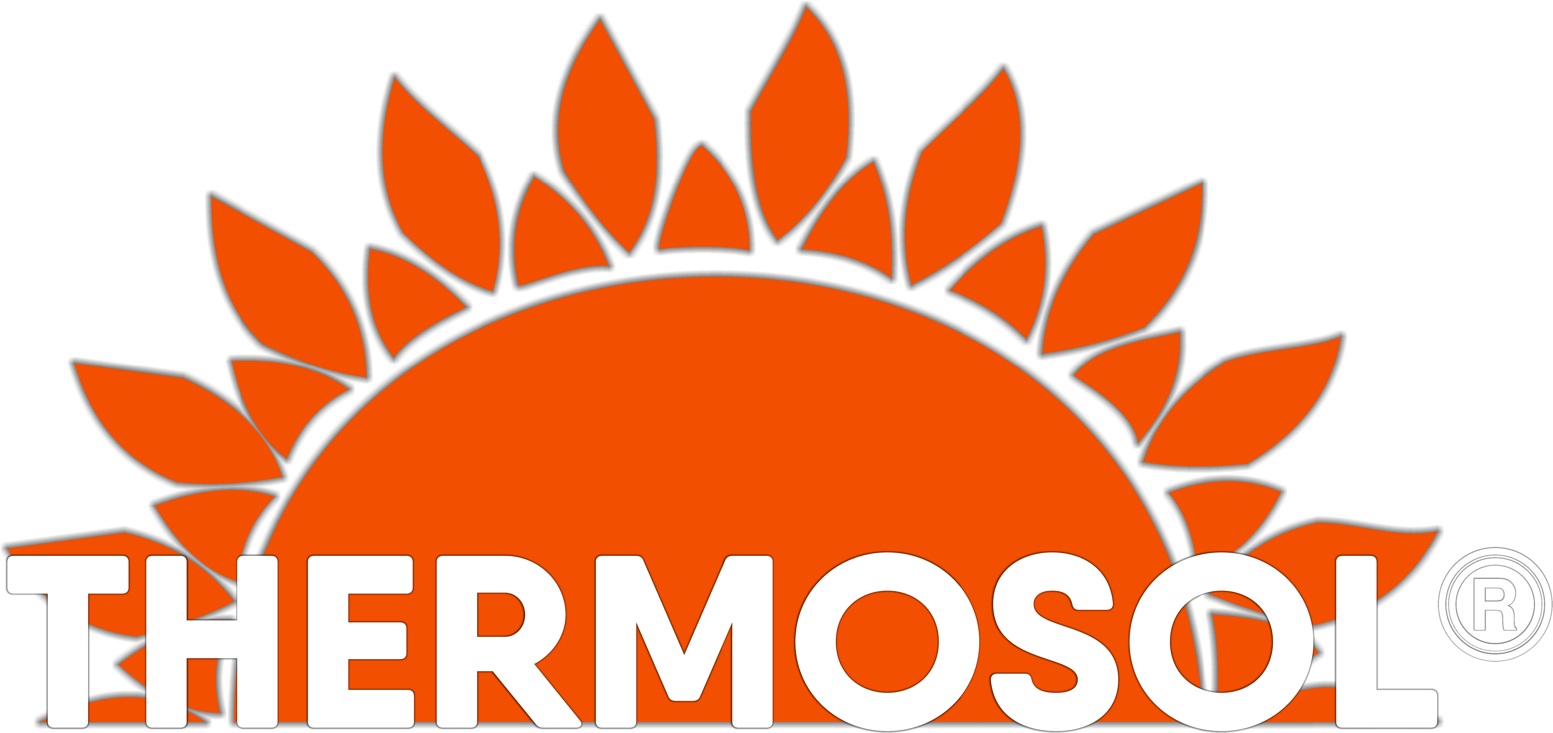 LOGO THERMOSOL 2020.png